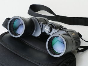 探索日本雙筒望遠(yuǎn)鏡 代購(gòu)渠道、價(jià)格解析與二手市場(chǎng)指南